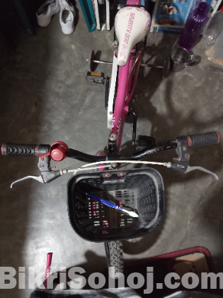 বাইসাইকেল